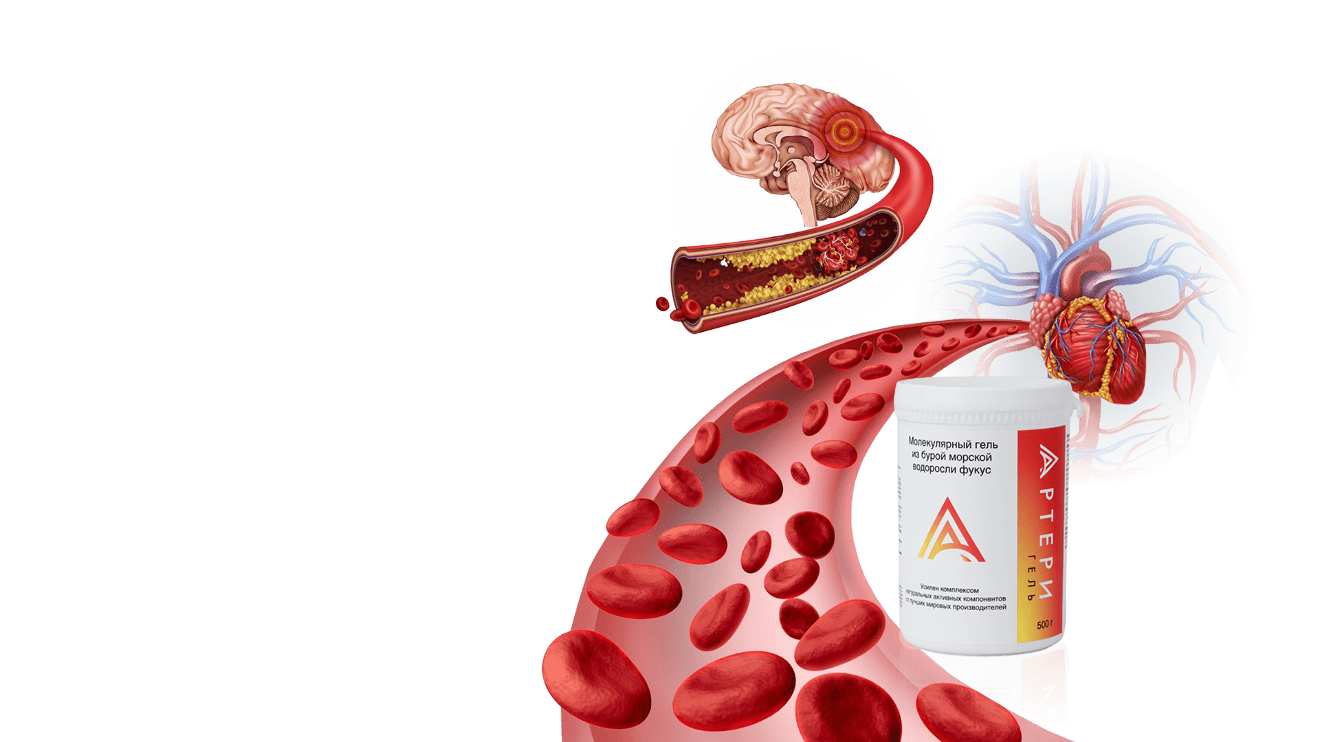 Артери гель - Третий слайд